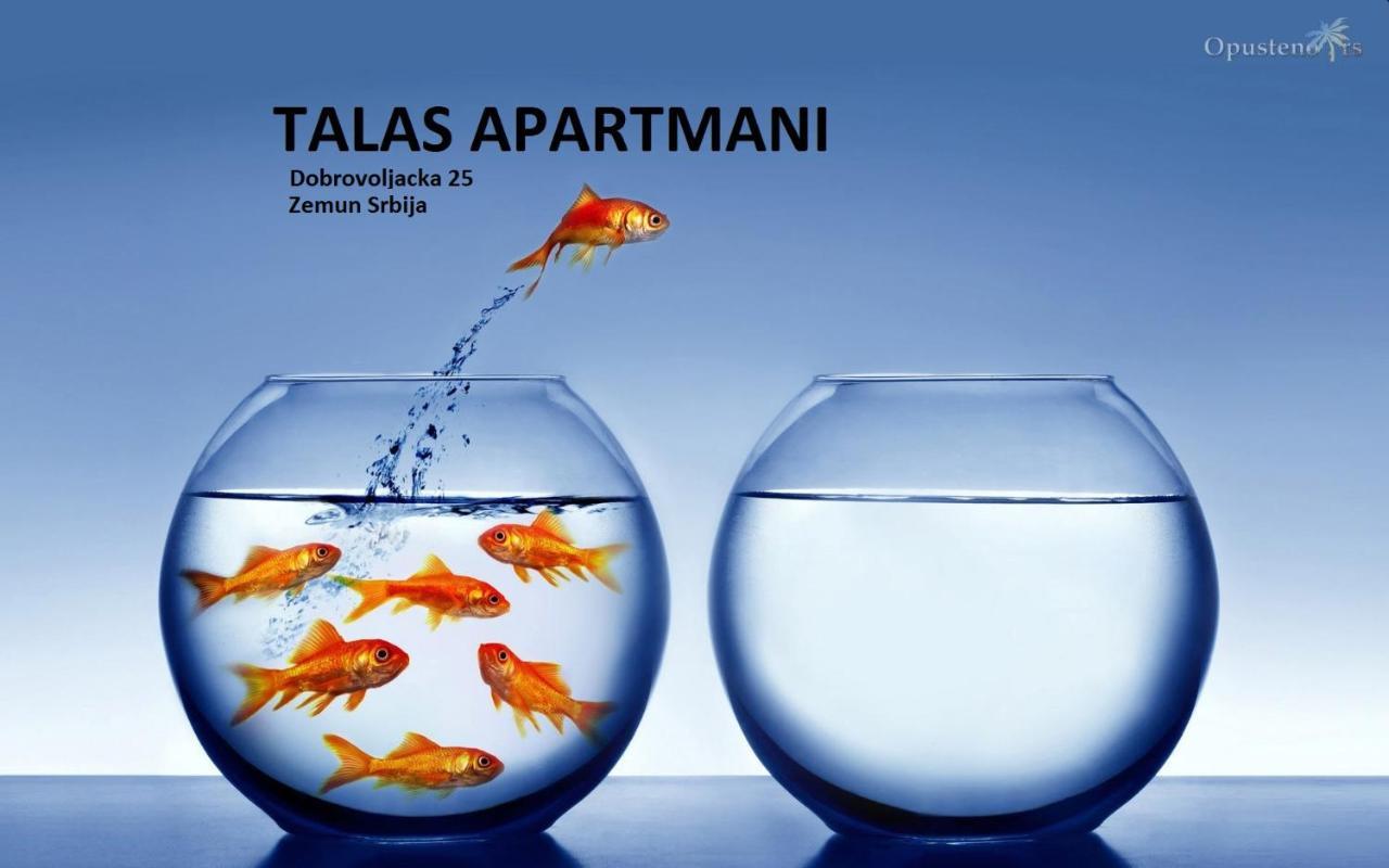 Talas Apartmani Belgrad Exteriör bild
